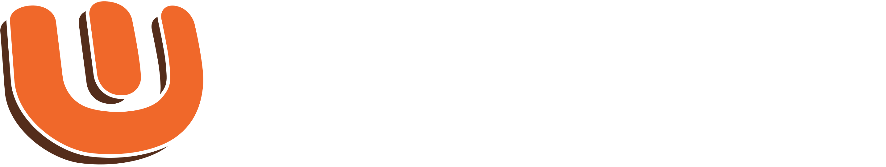 WEBDEV PVT LTD