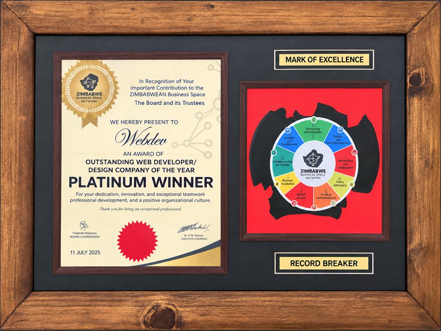 Zimbabwe Business Space Network award, 11 July 2025, naming Webdev Platinum Winner